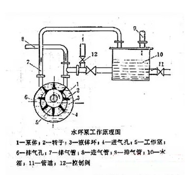 水環真空泵原理